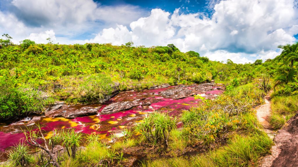 multicolored-river-in-colombia-cano-cristales