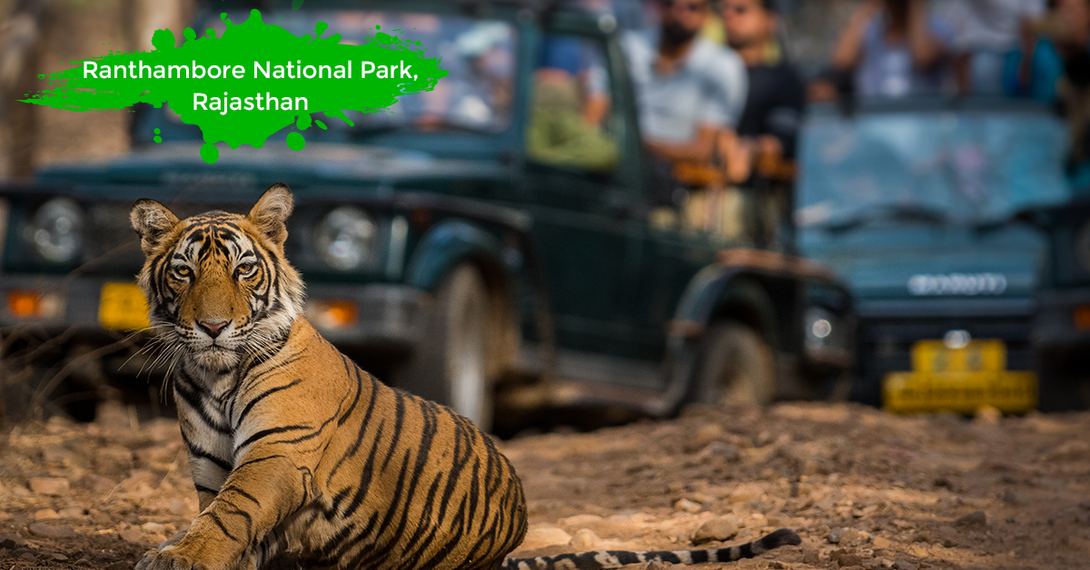 Rent a car with Myles to Visit Ranthambore