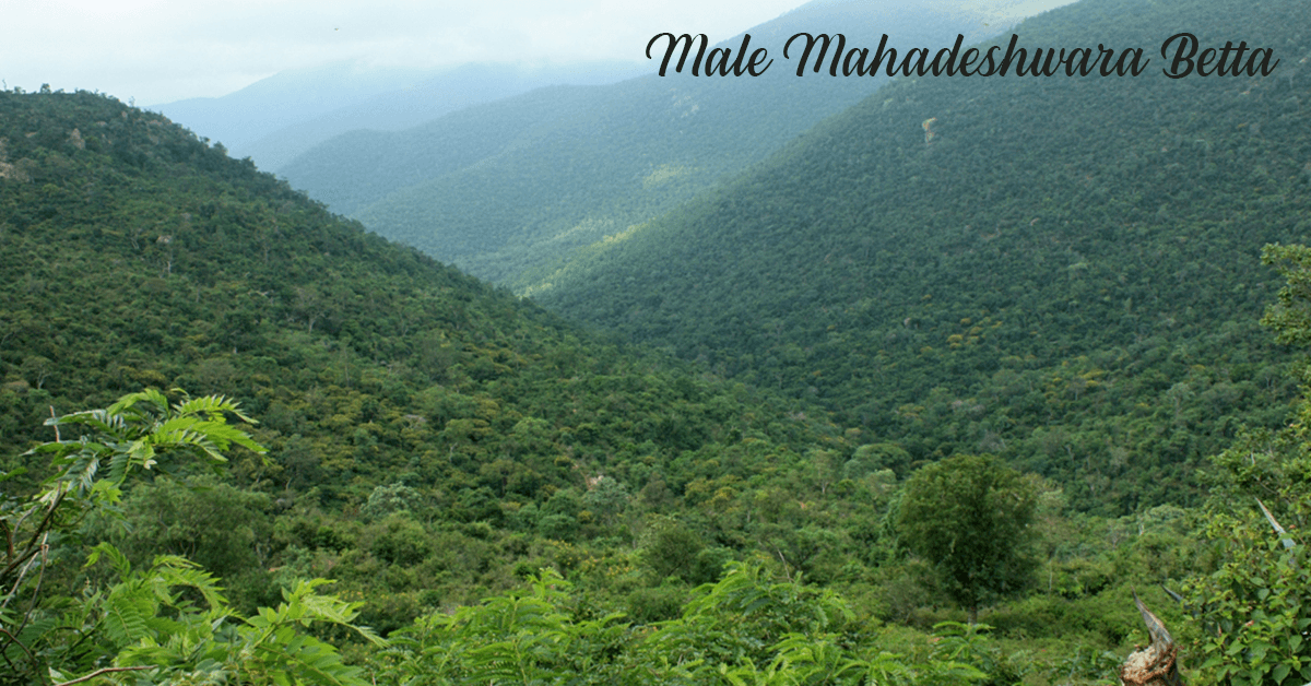 Trip to Male Mahadeshwara Betta
