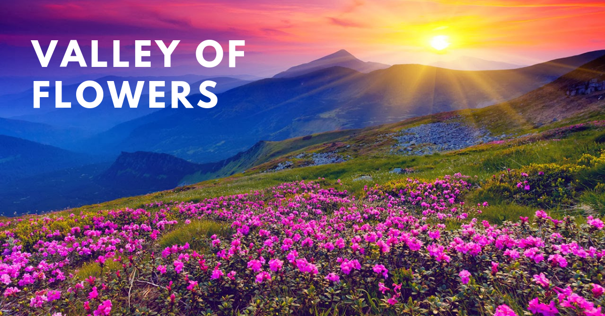 valley-of-flowers-vacation-car rental
