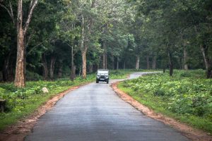 driving_through_the_nagerhole_national_park_20190928181843